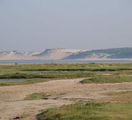 Visitez la Baie d'Authie dans la Somme