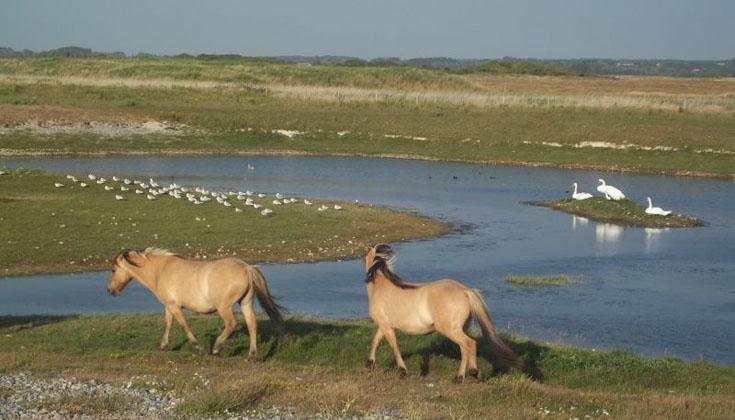 Camping dans la Somme