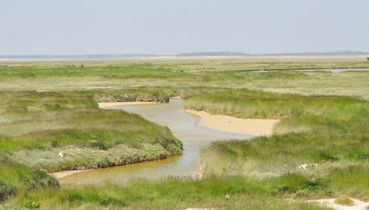 Camping dans la Somme